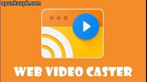 Download Web Video Cast Mod APK 3